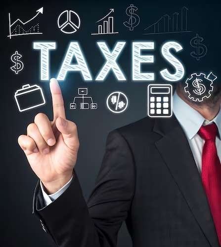 Professional tax services